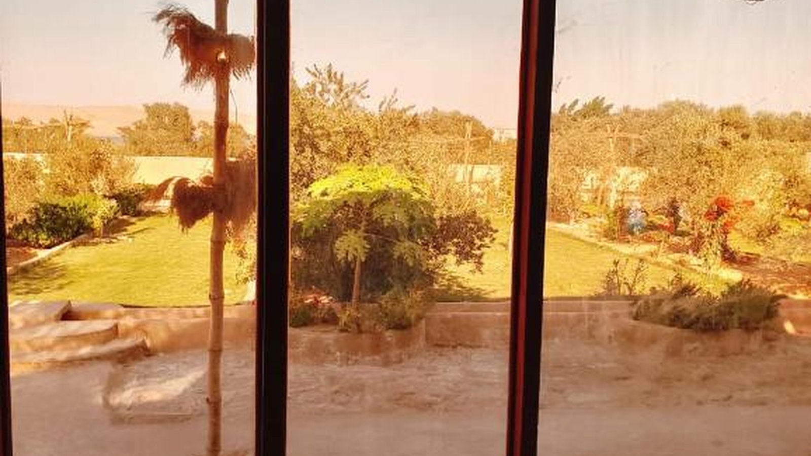 Dar Tunis Al Zaytoun