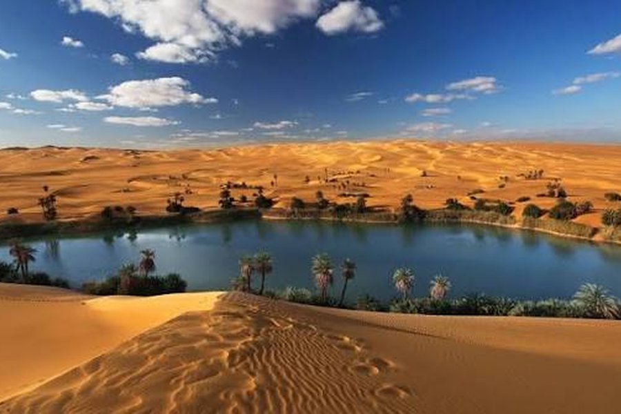 Journey Through Oasis: Cairo - Abu Simbel
